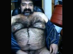Big hairy bear and hairy body