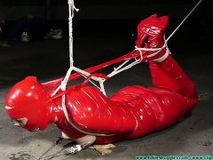Erotic Fetish Hardcore BDSM Artwork